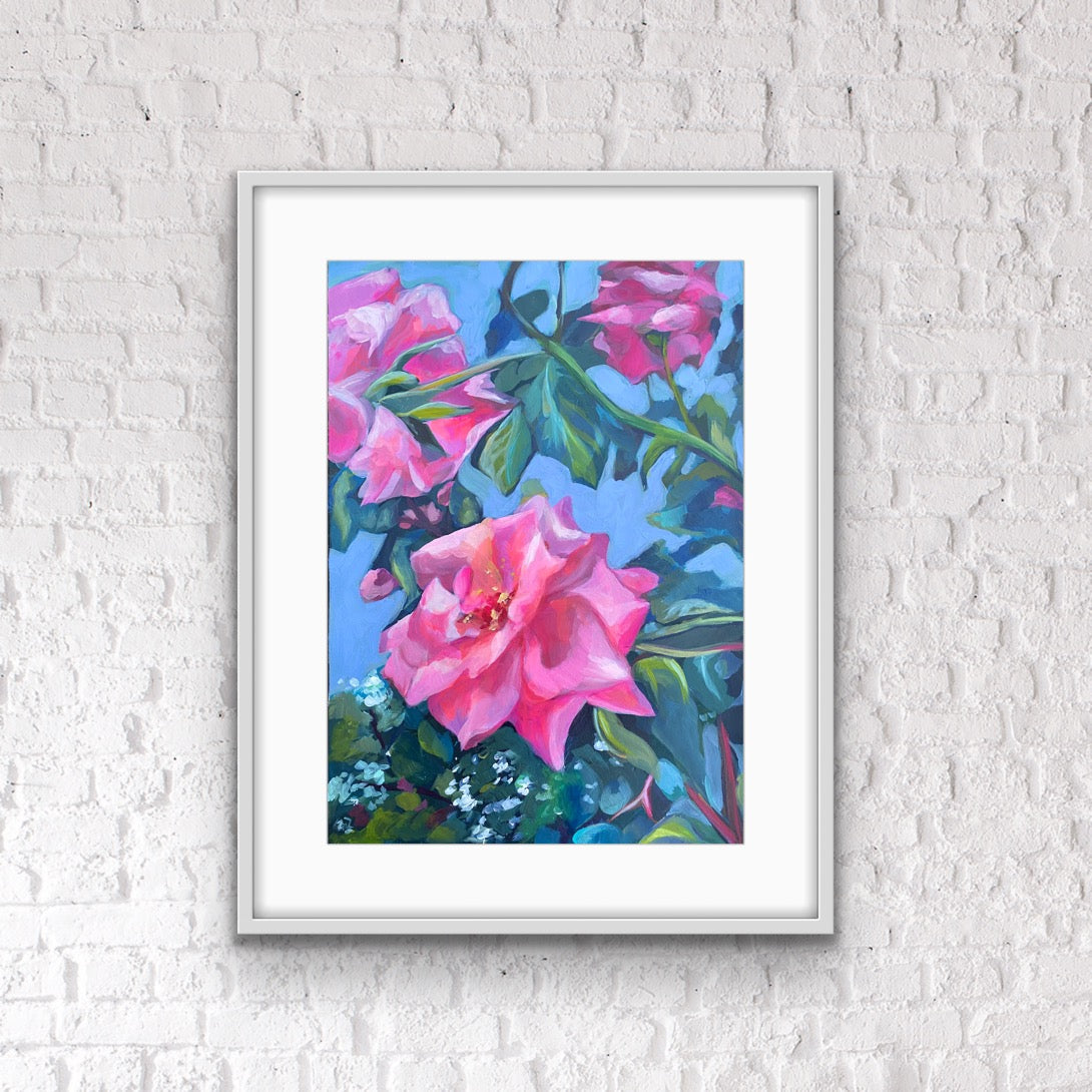 ‘Sweet rose’